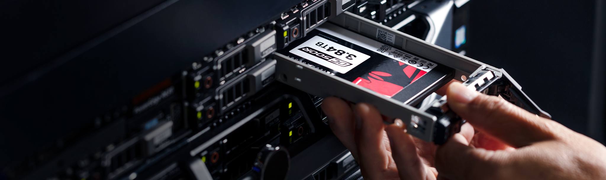 Kingston | El crecimiento mundial es la meta